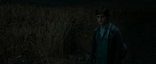 Click to view full size image
==============
RdM1-Potterish2449.jpg RdM1-Potterish2449.jpg
