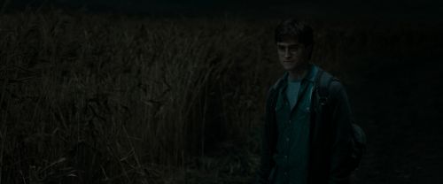 Click to view full size image
==============
RdM1-Potterish2452.jpg RdM1-Potterish2452.jpg