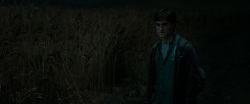 Click to view full size image
==============
RdM1-Potterish2453.jpg RdM1-Potterish2453.jpg