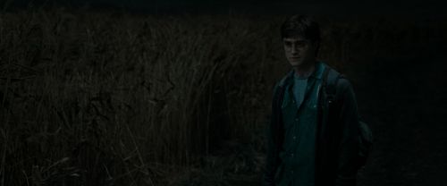 Click to view full size image
==============
RdM1-Potterish2454.jpg RdM1-Potterish2454.jpg