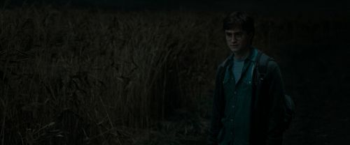 Click to view full size image
==============
RdM1-Potterish2455.jpg RdM1-Potterish2455.jpg