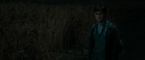RdM1-Potterish2456.jpg