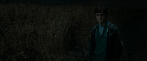 RdM1-Potterish2457.jpg