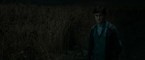 RdM1-Potterish2458.jpg