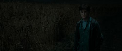 RdM1-Potterish2459.jpg