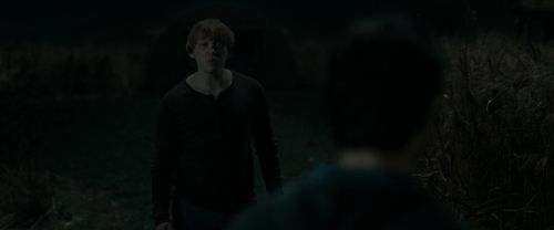 RdM1-Potterish2464.jpg
