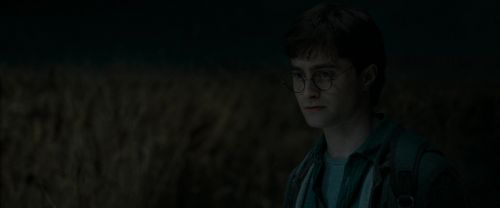 Click to view full size image
==============
RdM1-Potterish2473.jpg RdM1-Potterish2473.jpg