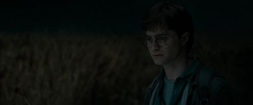 RdM1-Potterish2476.jpg
