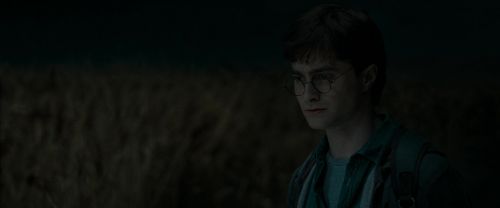RdM1-Potterish2477.jpg