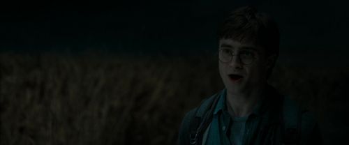Click to view full size image
==============
RdM1-Potterish2485.jpg RdM1-Potterish2485.jpg