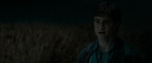 RdM1-Potterish2488.jpg