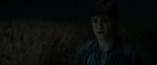 RdM1-Potterish2497.jpg