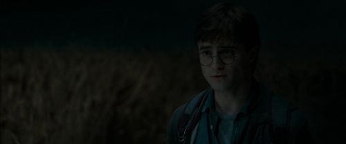 RdM1-Potterish2498.jpg