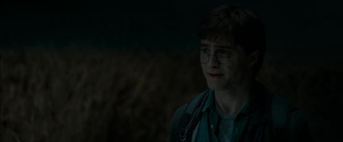 RdM1-Potterish2501.jpg