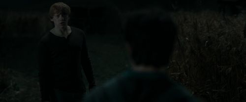 RdM1-Potterish2509.jpg