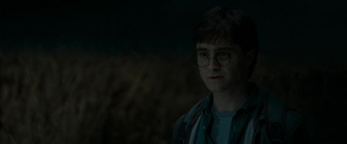 RdM1-Potterish2529.jpg