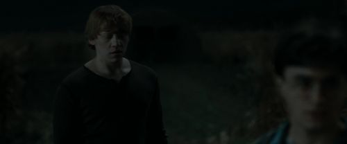 RdM1-Potterish2541.jpg