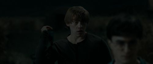 RdM1-Potterish2549.jpg