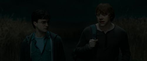 RdM1-Potterish2571.jpg