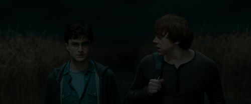 RdM1-Potterish2575.jpg