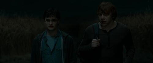 RdM1-Potterish2579.jpg