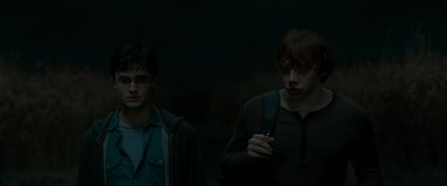 RdM1-Potterish2582.jpg