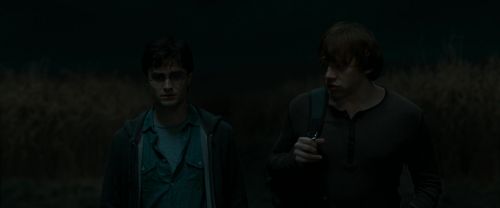 RdM1-Potterish2585.jpg