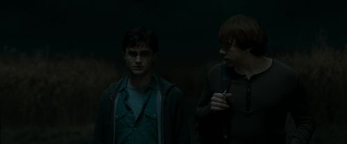 RdM1-Potterish2586.jpg