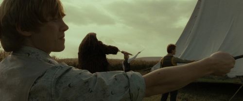 RdM1-Potterish2784.jpg
