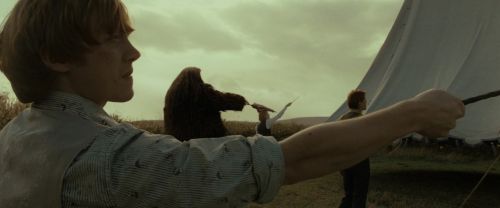 RdM1-Potterish2785.jpg
