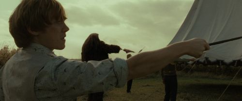 RdM1-Potterish2786.jpg