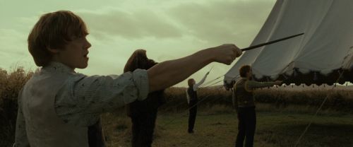 Click to view full size image
==============
RdM1-Potterish2788.jpg RdM1-Potterish2788.jpg