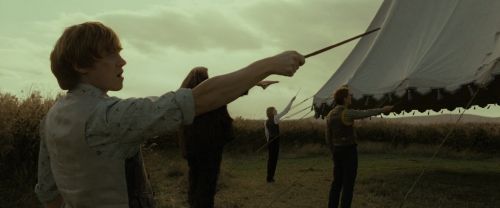 Click to view full size image
==============
RdM1-Potterish2789.jpg RdM1-Potterish2789.jpg