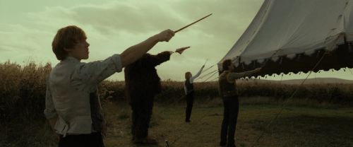 RdM1-Potterish2791.jpg