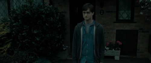 RdM1-Potterish285.jpg