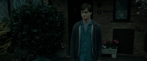 RdM1-Potterish286.jpg