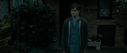 RdM1-Potterish288.jpg
