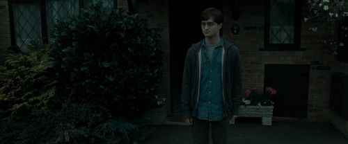 RdM1-Potterish293.jpg