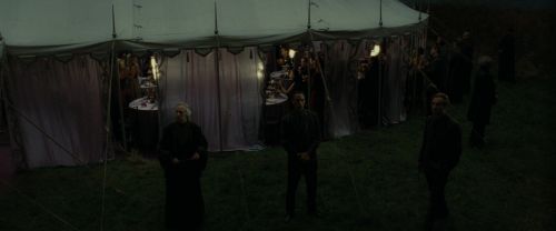 RdM1-Potterish3185.jpg