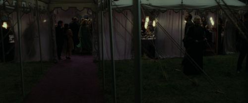 RdM1-Potterish3196.jpg