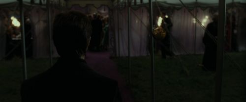 RdM1-Potterish3199.jpg