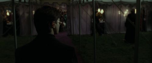 RdM1-Potterish3200.jpg