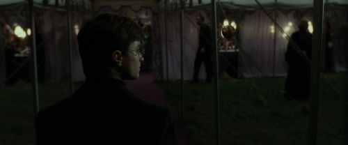 RdM1-Potterish3201.jpg