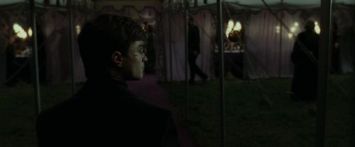 RdM1-Potterish3202.jpg