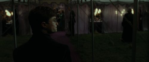 RdM1-Potterish3204.jpg