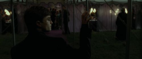 RdM1-Potterish3205.jpg