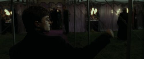 RdM1-Potterish3206.jpg