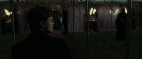RdM1-Potterish3207.jpg