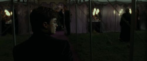 RdM1-Potterish3208.jpg