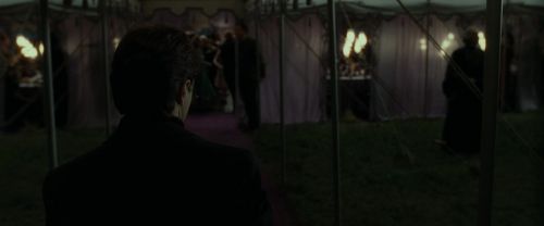 RdM1-Potterish3209.jpg